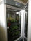 غرفة نمو النبات آلة إنبات بذور المناخ الاصطناعي حاضنة صندوق نمو النبات