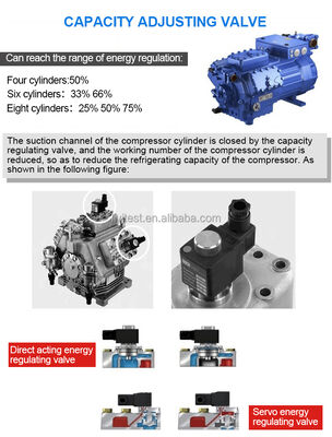 تصنيع السعة الكبيرة المشي البيئي في غرفة المناخ مع غرفة اختبار درجة حرارة التحكم في الرطوبة