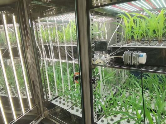 سعر LIYI لغرفة حاضنة نمو النباتات للإضاءة واختبار المناخ الاصطناعي البيئي من جانبين وثلاثة جوانب للبيع